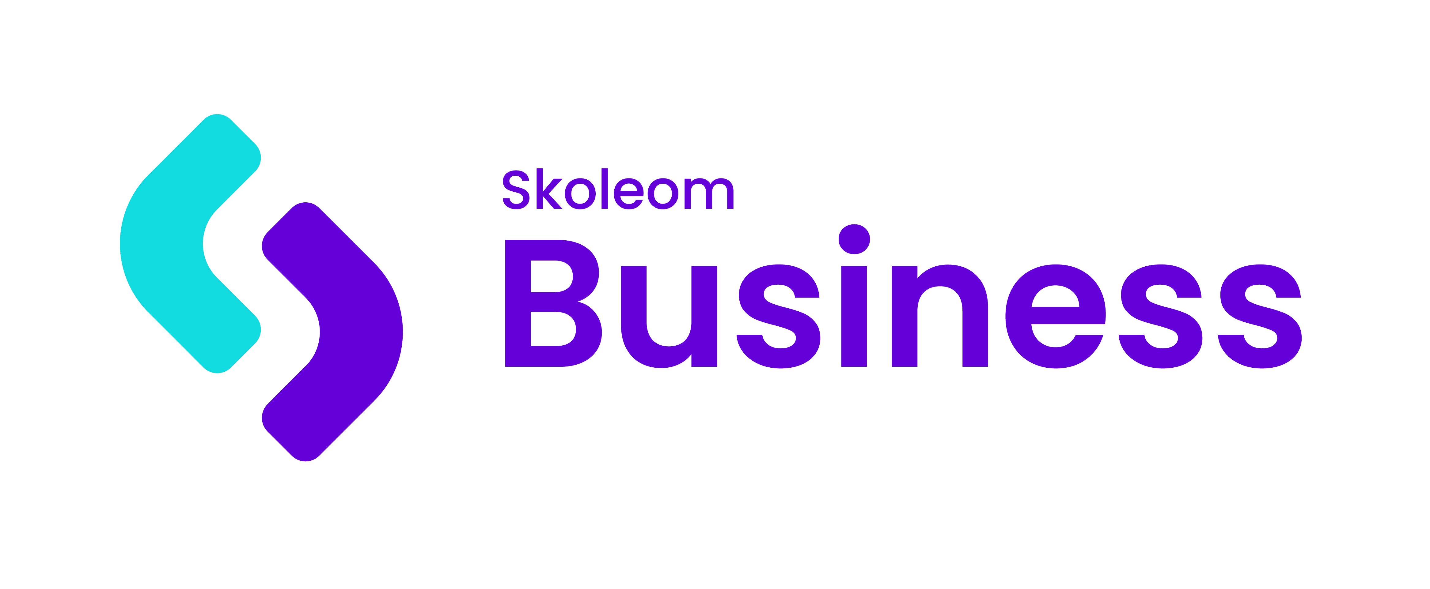 Skoleom Business